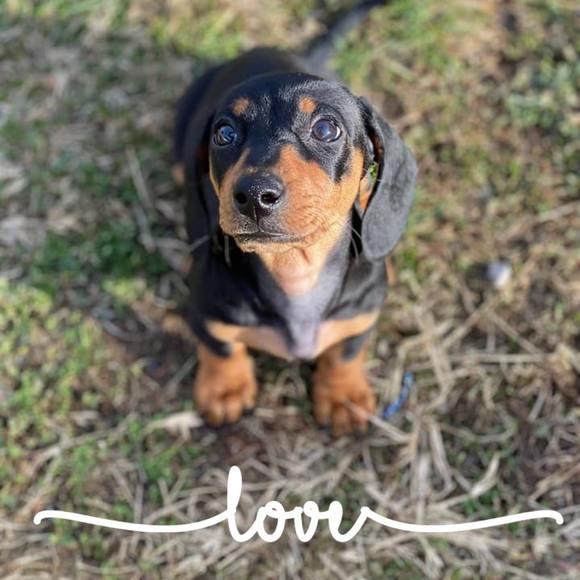 Meet your Posher, Kimberly - Picture 1 of 1